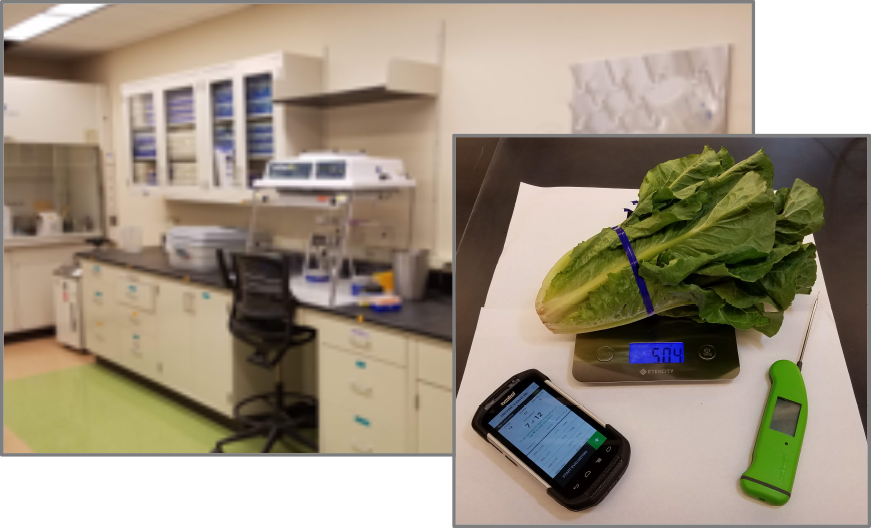 freshness testing