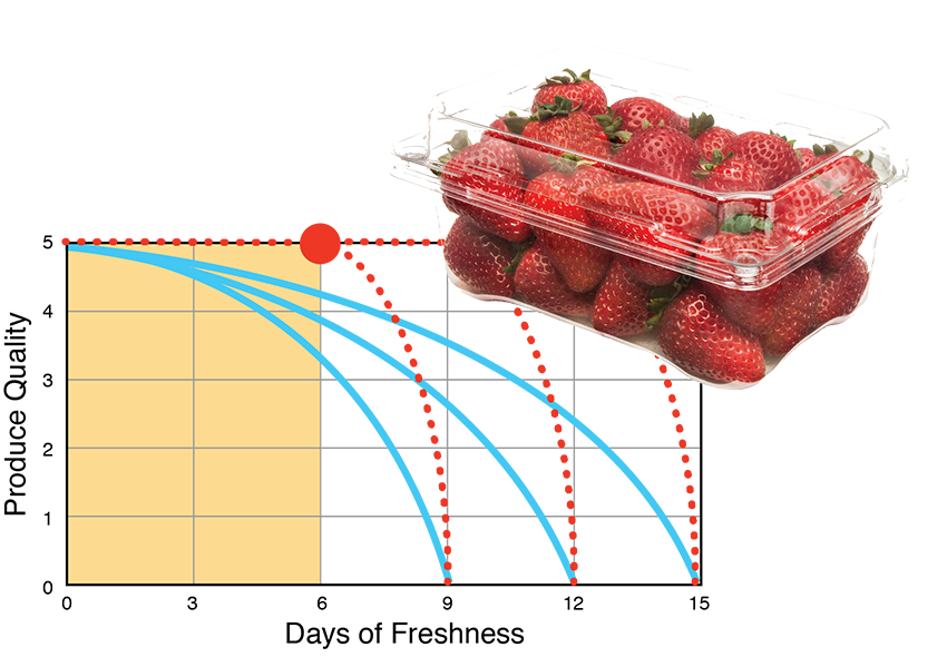 freshness-requirements